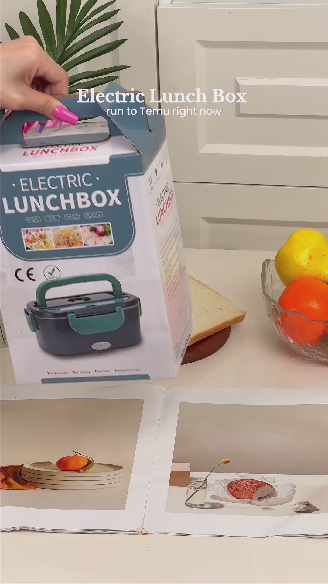 Portable Electric Heater Lunch Box